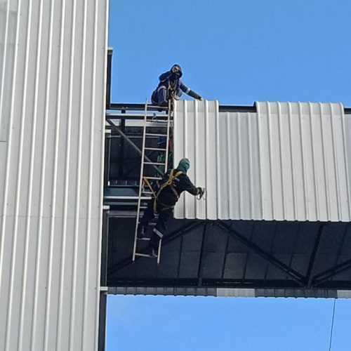 cropped-196688014_1664982427029674_430946714146263569_n.jpg